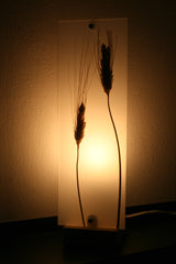 Flora Baby Grano - Lampada da tavolo