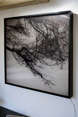 Saleccia - Pannello da parete