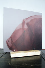 Flora Macro - Lampada da tavolo