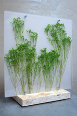 Flora Broom Bloom - Lampada da tavolo