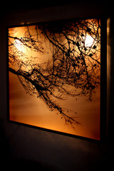 Saleccia - Pannello da parete