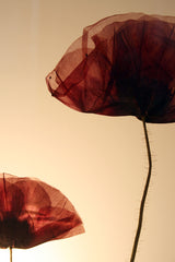 Flora Poppy - Lampada da tavolo