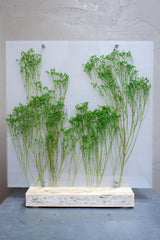 Flora Broom Bloom - Lampada da tavolo