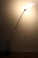 Stelo - Lampada da terra