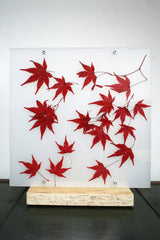 Flora Acero - Lampada da tavolo