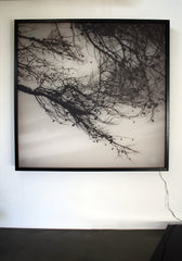 Saleccia - Pannello da parete