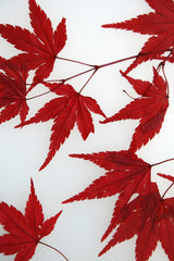 Flora Baby Acero - Lampada da tavolo