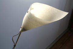 Stelo - Lampada da tavolo