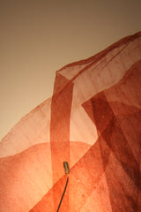 Flora Macro - Lampada da tavolo