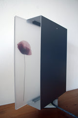 Flora Poppy - Applique