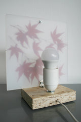 Flora Baby Acero - Lampada da tavolo